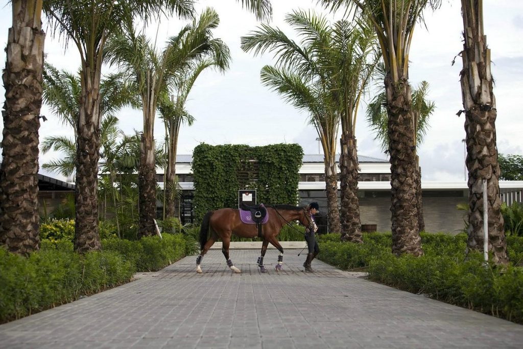 Bali Equestrian Centre