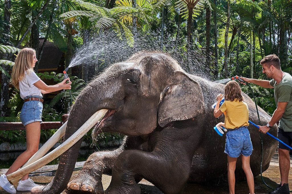Mason Elephant Park & Lodge
