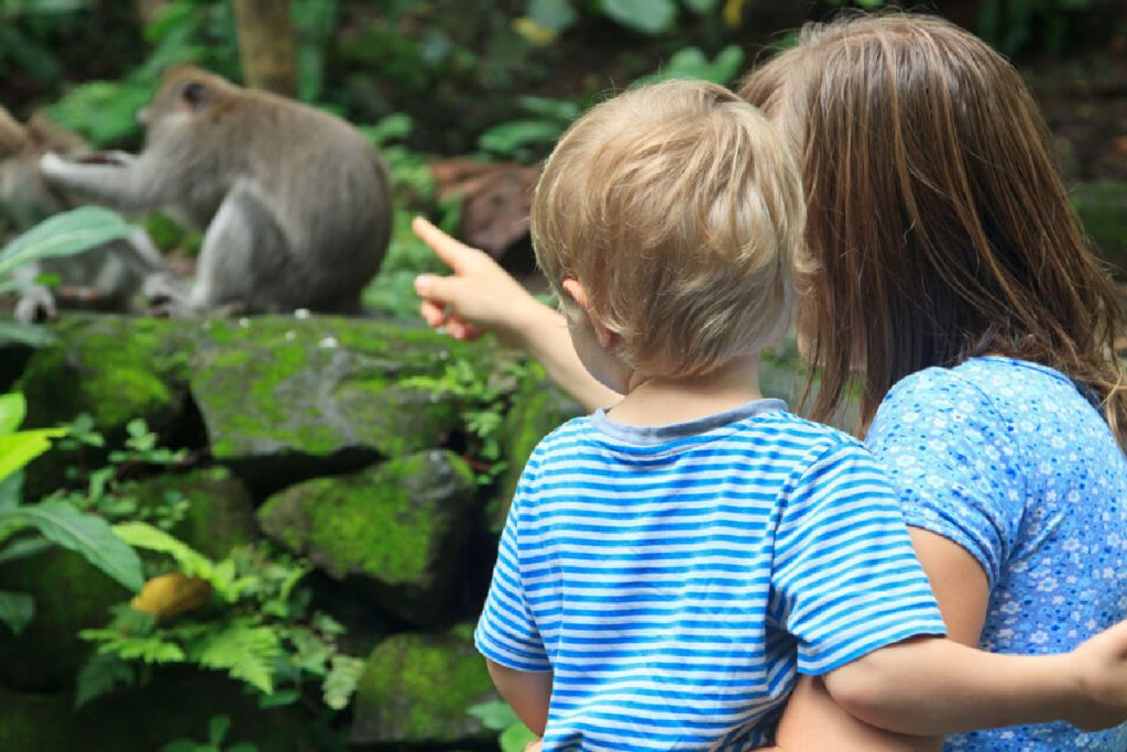 Monkey Forest Ubud