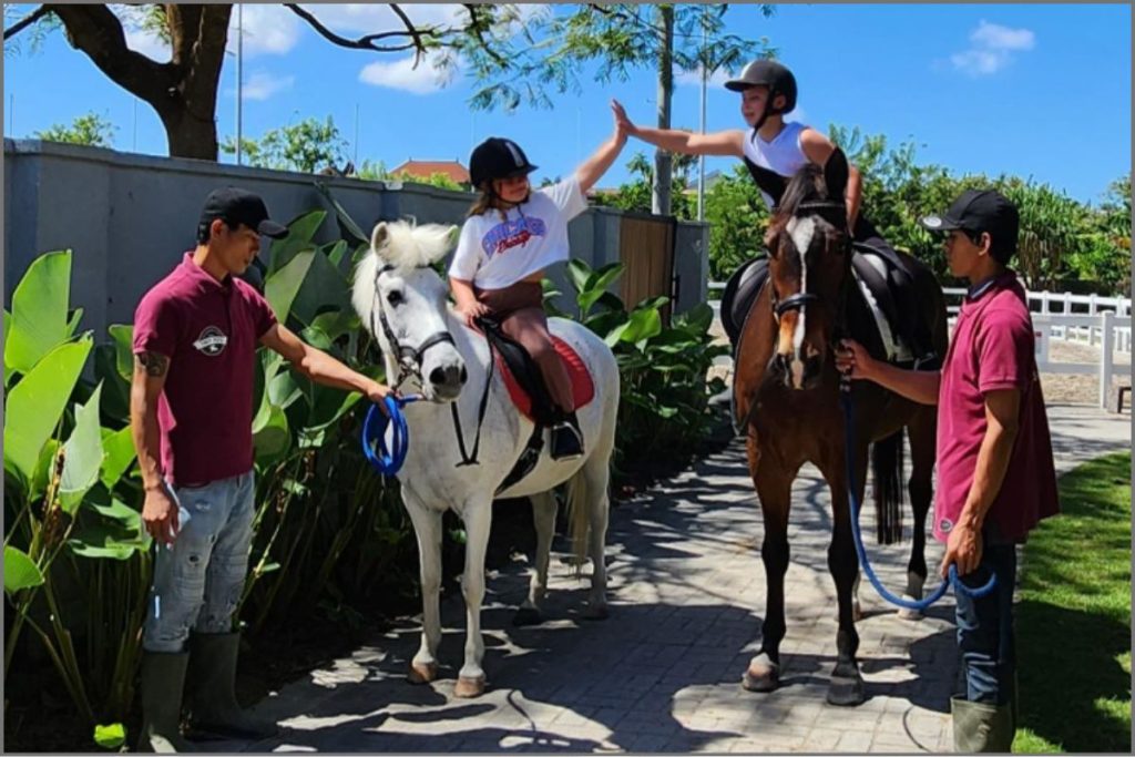 Pony Rides