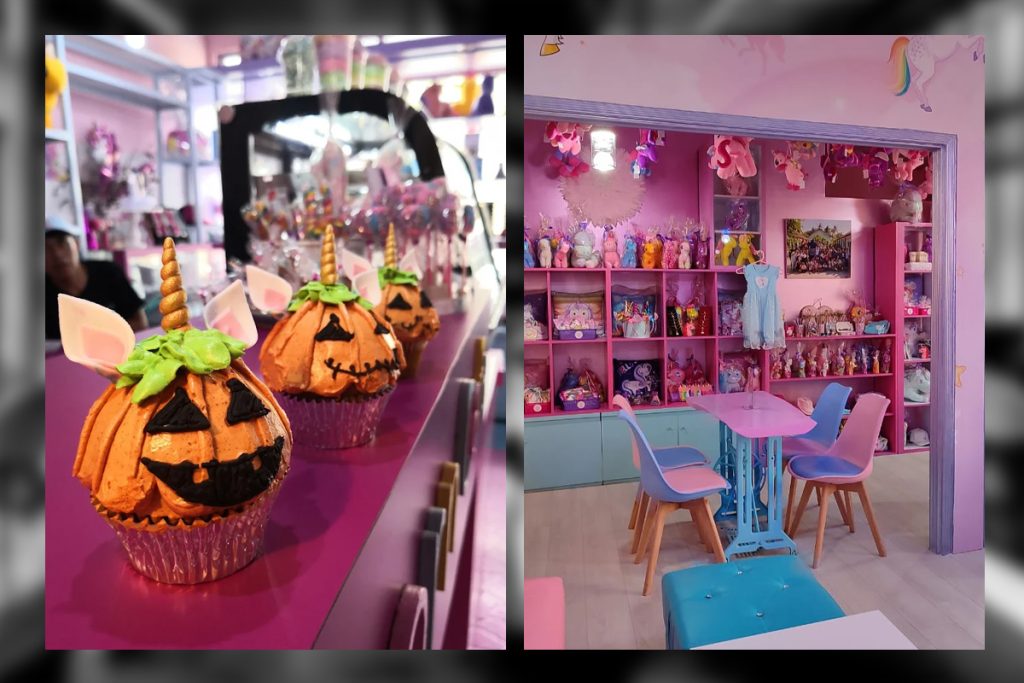 Brie's Unicorn Cafe and Pocket Pet Playground