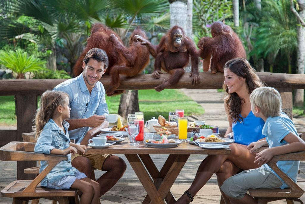 Bali Zoo and Bali Safari & Marine Park